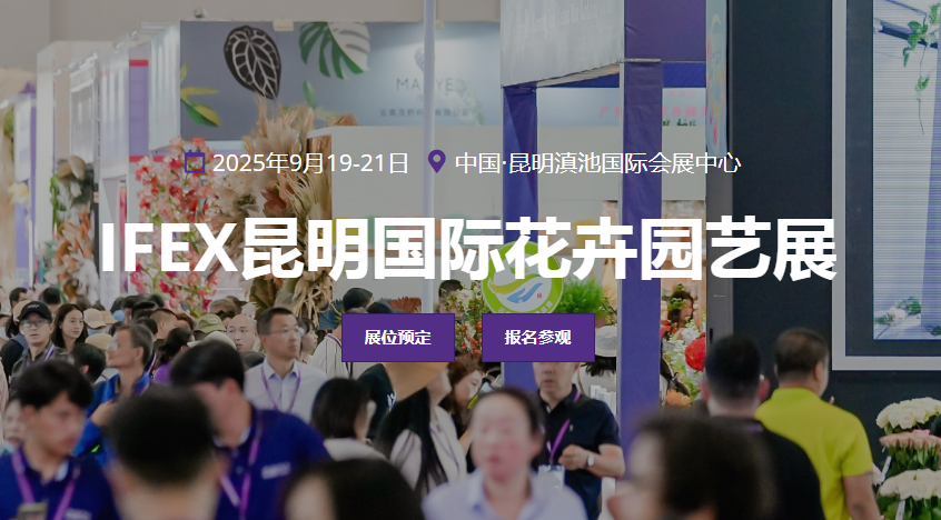 展会Logo