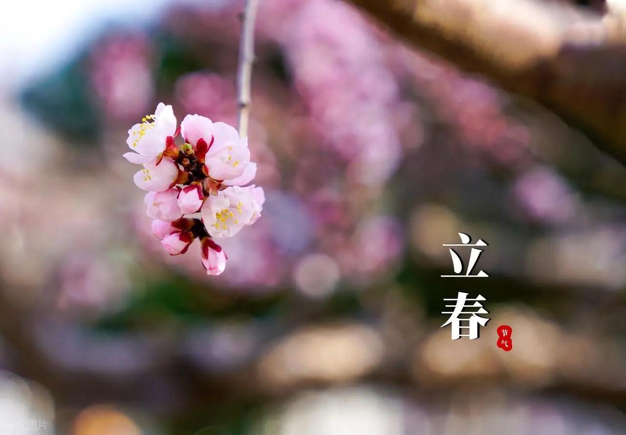 立春节气