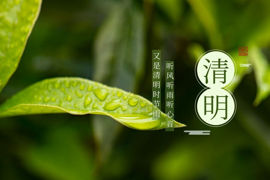 清明时节，防疫不松懈-找展网