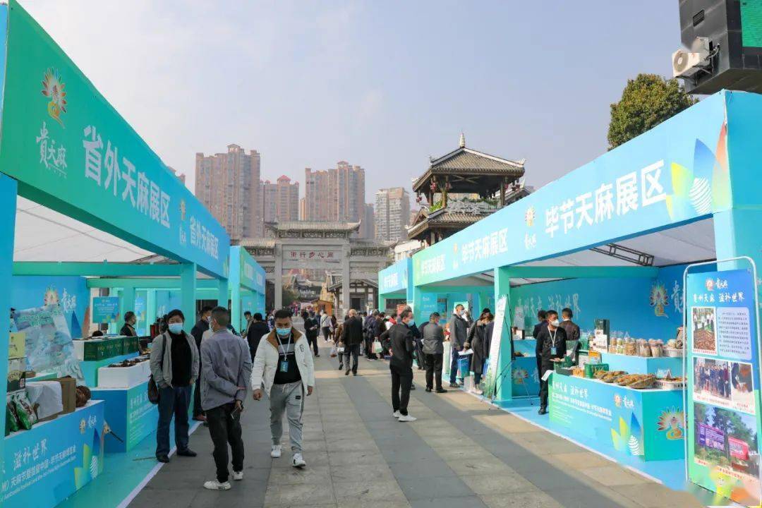 贵州展会信息:第二届中国(贵州)天麻节暨首届中国毕节天麻博览会盛大开幕