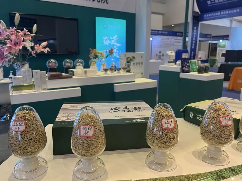 参观第二届三亚国际种业科技博览会:新品种、新技术、新设备振兴种业